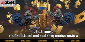 Đá gà Thomo